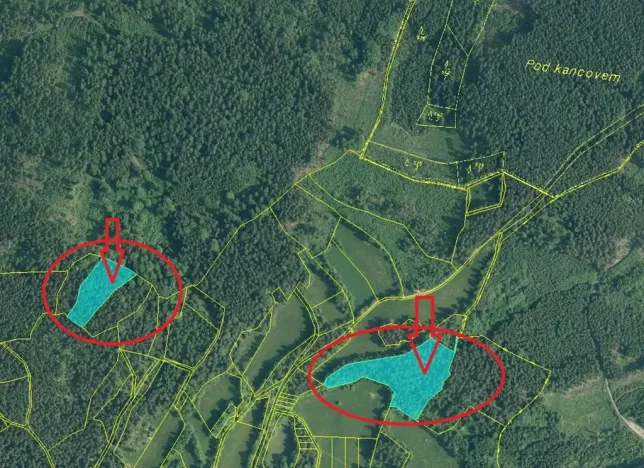 Prodej podílu lesa, Vlachovo Březí, 1357 m2