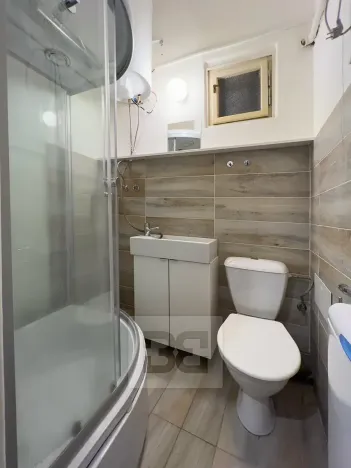 Pronájem bytu 2+1, Praha - Žižkov, Přemyslovská, 46 m2