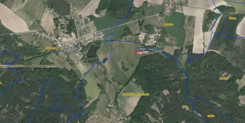 Prodej louky, Morašice, 5781 m2