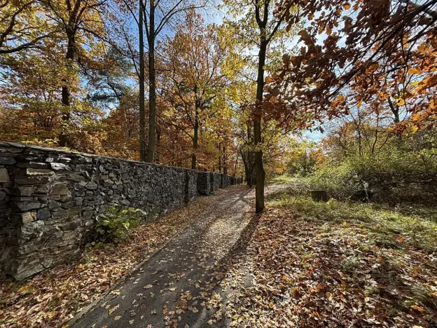 Prodej bytu 3+kk, Jesenice, Cedrová, 63 m2