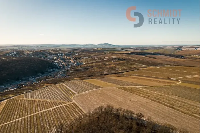 Prodej sadu/vinice, Němčičky, 4556 m2