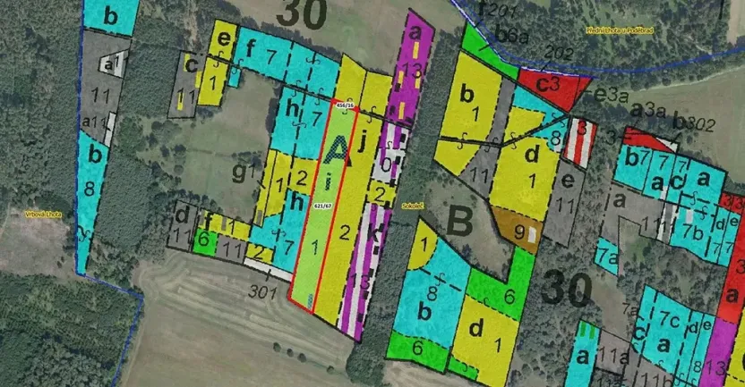 Prodej lesa, Sokoleč, 9084 m2