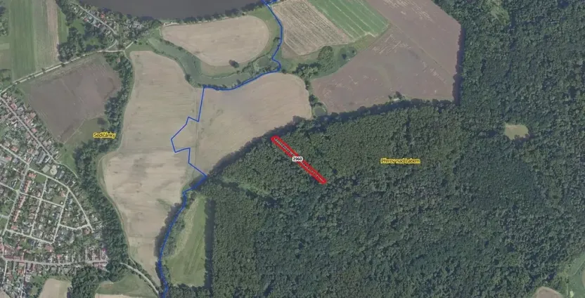 Prodej lesa, Přerov nad Labem, 2852 m2