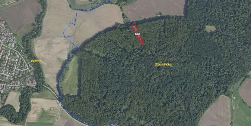 Prodej lesa, Přerov nad Labem, 2974 m2