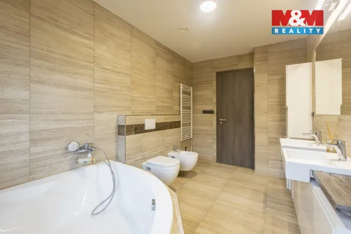 Prodej rodinného domu, Bořanovice, V sazenicích, 285 m2