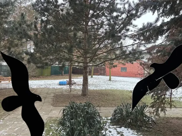 Pronájem pokoje, Olomouc, Přichystalova, 65 m2