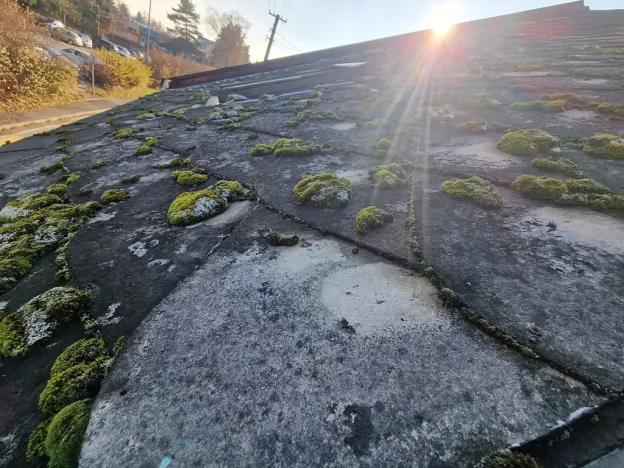 Prodej rodinného domu, Svitavy, Jana Želivského, 157 m2