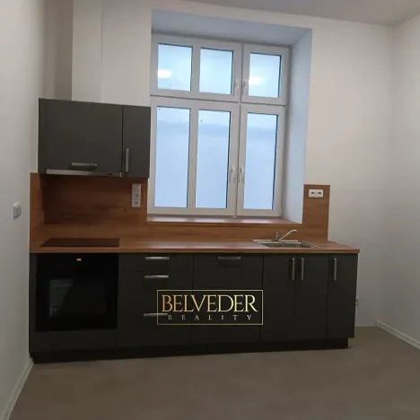 Pronájem bytu 3+kk, Teplice, Pražská, 44 m2