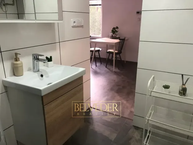 Pronájem bytu 1+kk, Teplice, Rokle, 32 m2