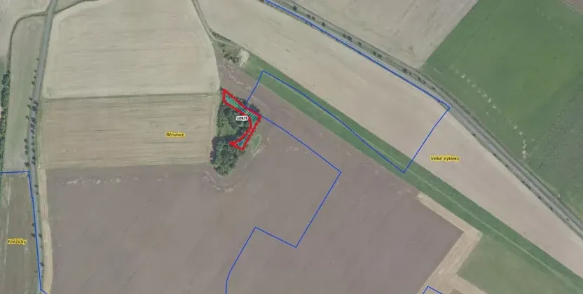 Prodej lesa, Běrunice, 1361 m2