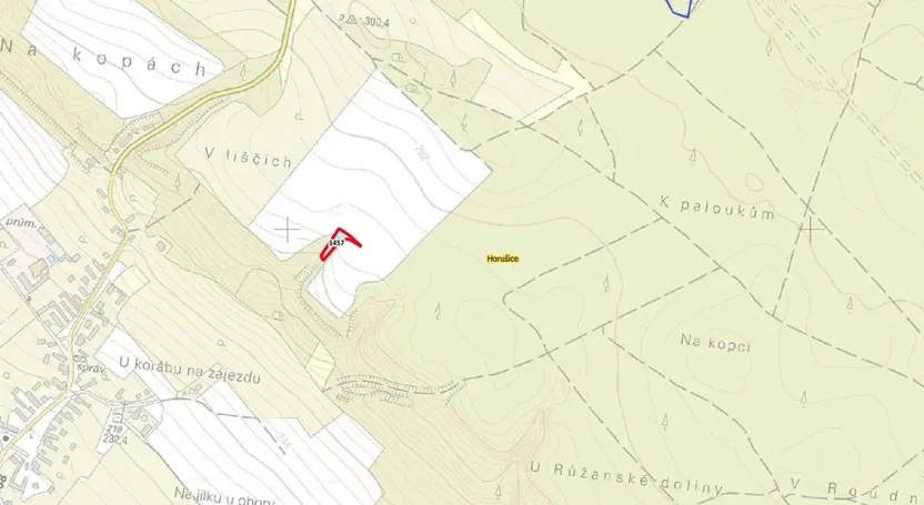 Prodej lesa, Horušice, 1029 m2