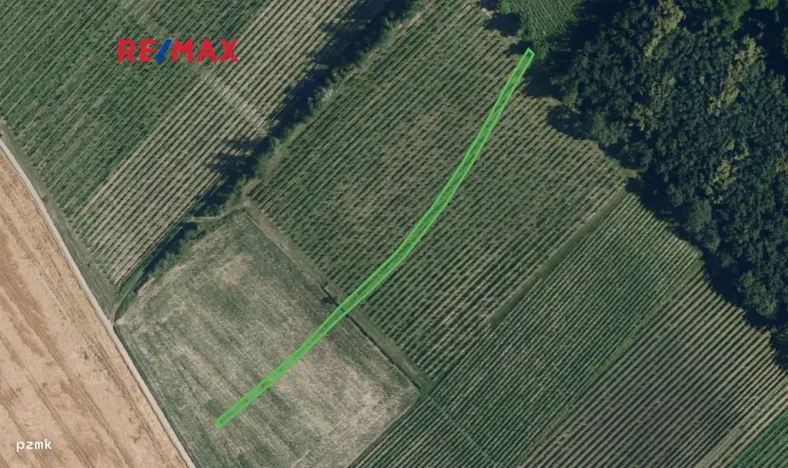 Prodej sadu/vinice, Josefov, 1165 m2