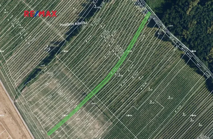 Prodej sadu/vinice, Josefov, 1165 m2