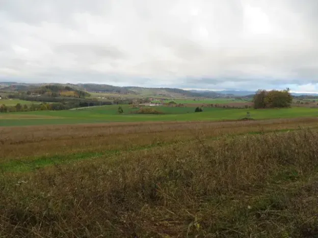 Dražba pole, Mochtín, 38121 m2