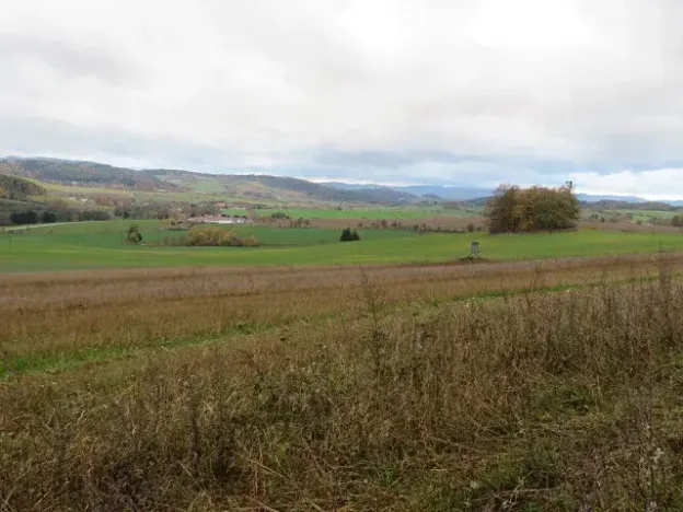 Dražba pole, Mochtín, 38121 m2