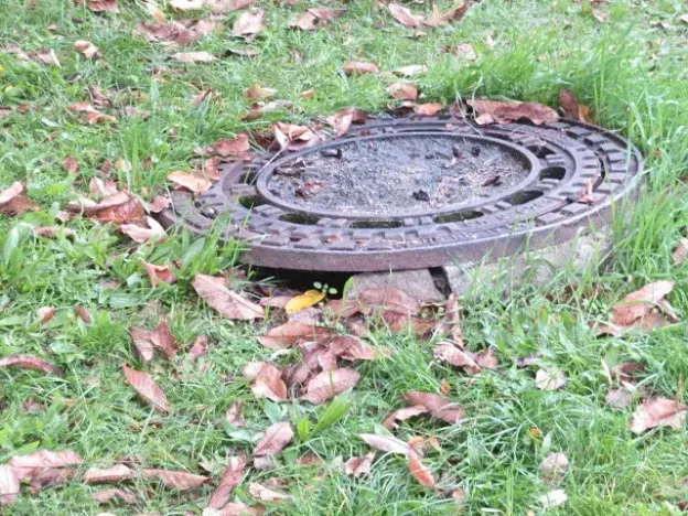 Dražba rodinného domu, Nové Syrovice, 474 m2