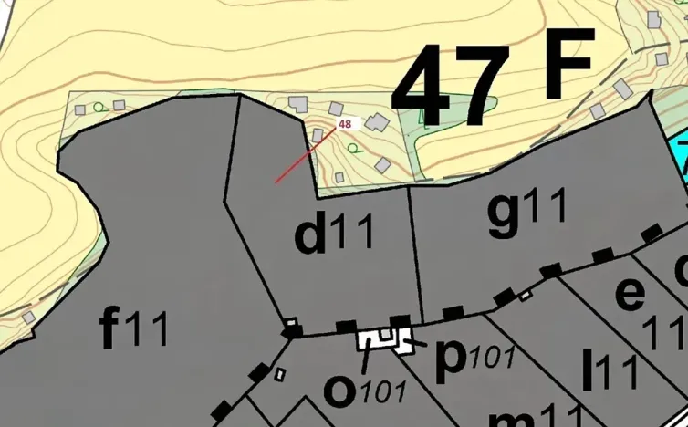 Dražba lesa, Sýkořice, 8962 m2
