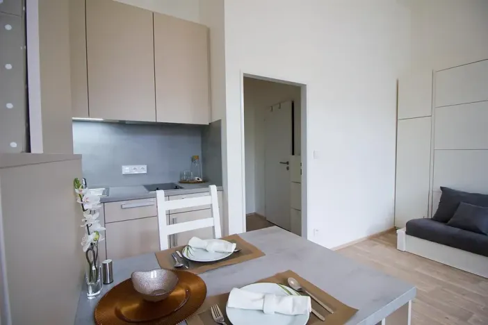 Pronájem bytu 1+kk, Brno, Koliště, 26 m2