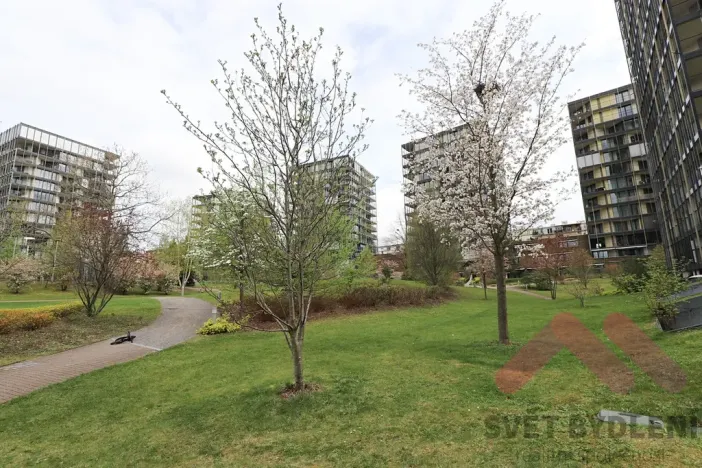 Pronájem bytu 1+kk, Praha - Žižkov, Pitterova, 66 m2