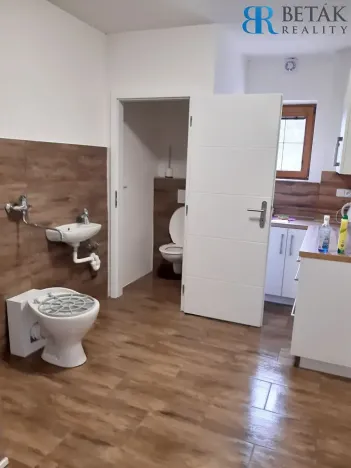 Prodej obchodního prostoru, Želatovice, 250 m2