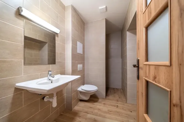 Pronájem bytu 2+kk, Plzeň, Dvorní, 43 m2