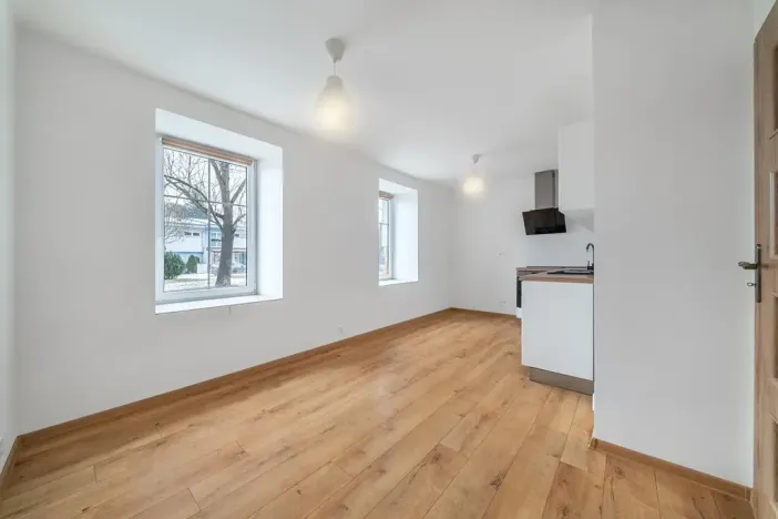 Pronájem bytu 2+kk, Plzeň, Dvorní, 43 m2