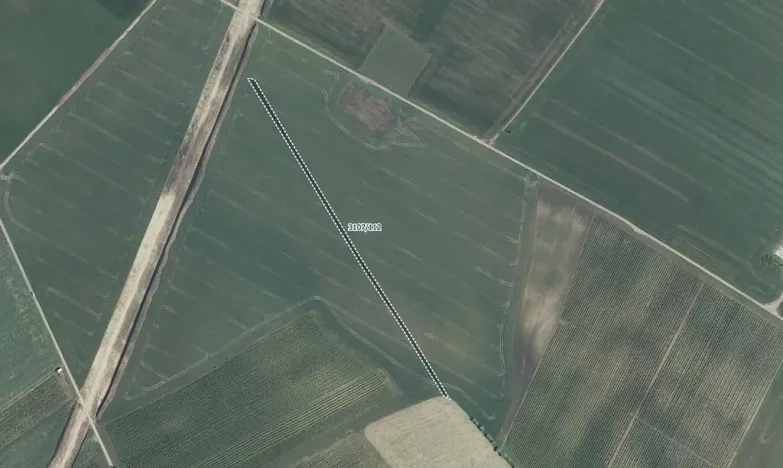 Prodej pole, Mutěnice, 5978 m2