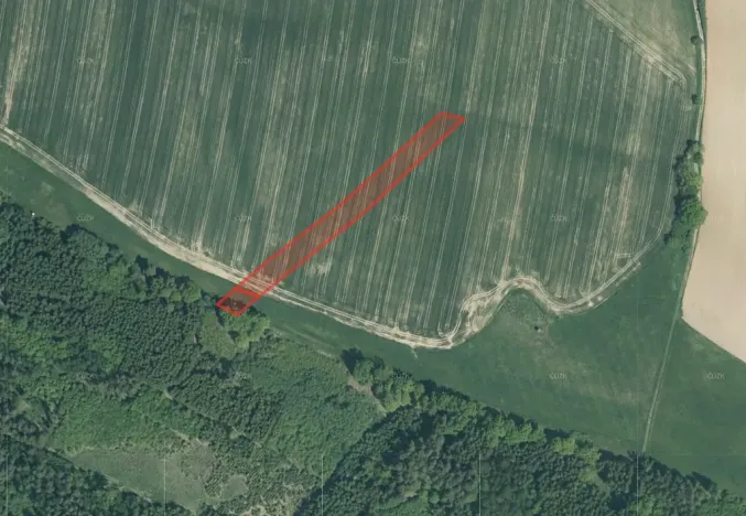 Prodej pole, Přeštěnice, 19338 m2