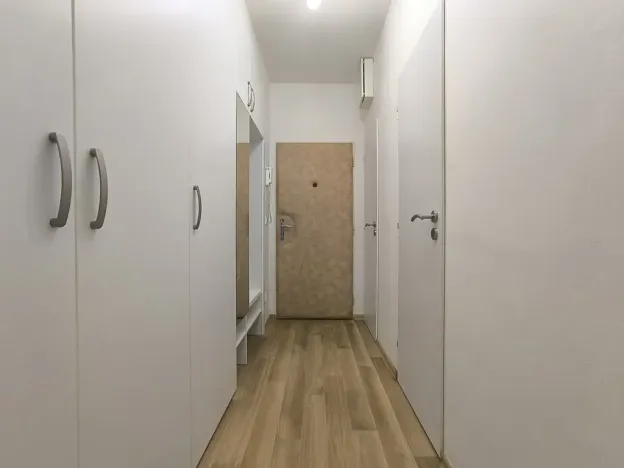 Pronájem bytu 2+1, Brno, Družstevní, 56 m2