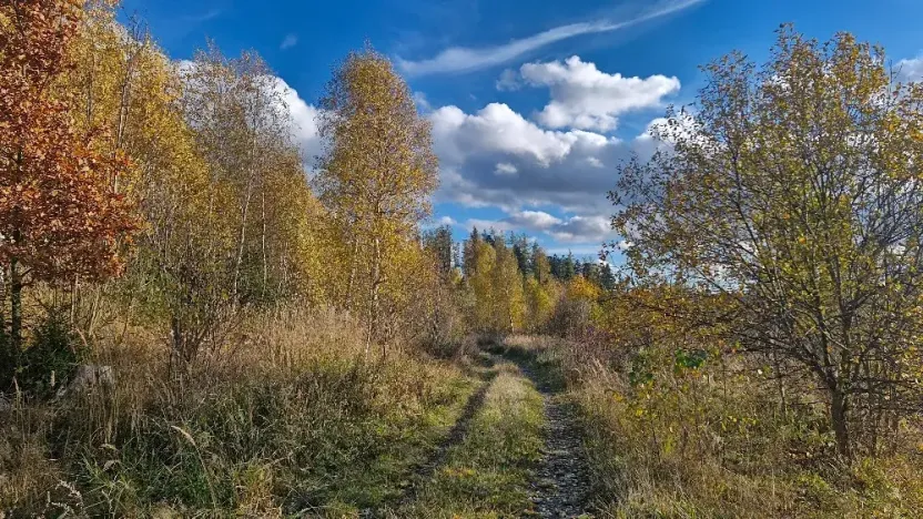 Prodej pozemku, Mezina, 966 m2