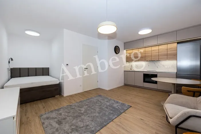 Pronájem bytu 1+kk, Praha - Karlín, Křižíkova, 32 m2