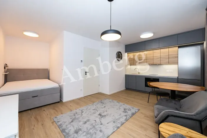 Pronájem bytu 1+kk, Praha - Karlín, Křižíkova, 32 m2