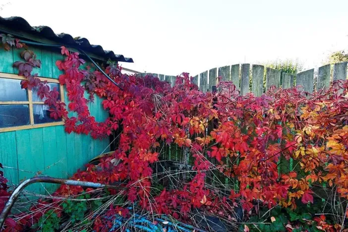 Prodej rodinného domu, Pavlovice u Přerova, 100 m2