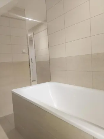 Pronájem bytu 1+kk, Plzeň, Pod Švabinami, 47 m2