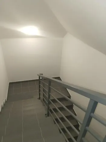 Pronájem bytu 1+kk, Plzeň, Pod Švabinami, 47 m2