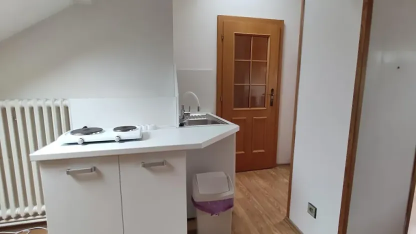 Pronájem bytu 1+kk, Praha - Krč, Moysesova, 40 m2