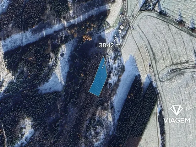 Prodej lesa, Česká Třebová, 3842 m2