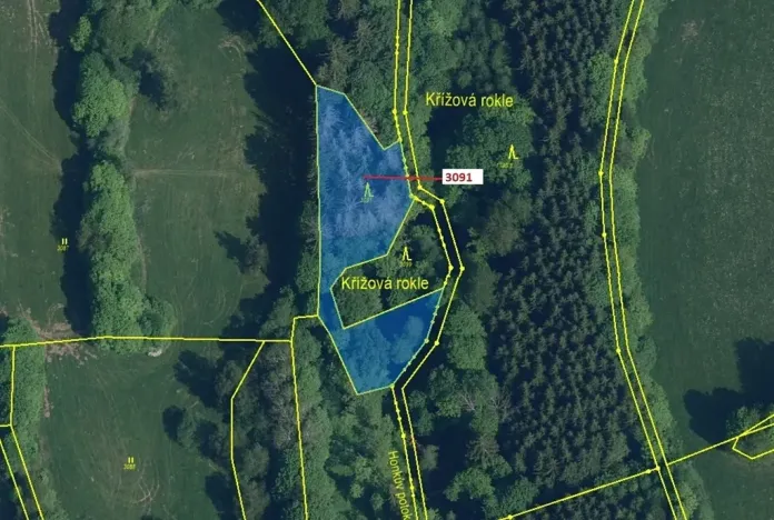 Dražba lesa, Benešov u Semil, 1964 m2