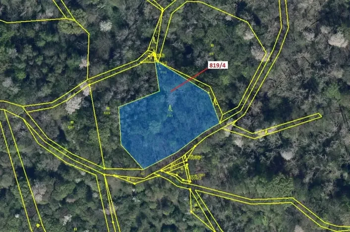 Dražba lesa, Zubrnice, 2875 m2