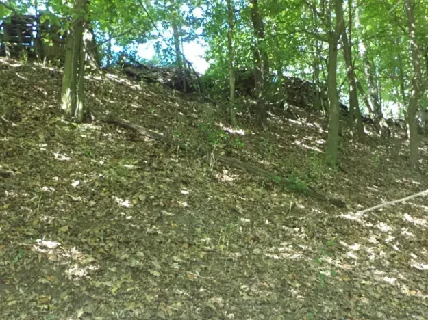 Dražba pozemku pro bydlení, Stará Paka, 1210 m2