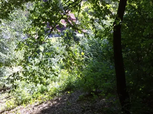 Dražba pozemku pro bydlení, Stará Paka, 1210 m2