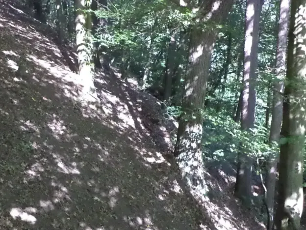 Dražba pozemku pro bydlení, Stará Paka, 1210 m2