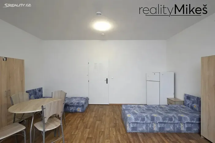 Pronájem ubytování, Dobrovice, 500 m2