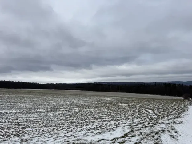 Dražba pole, Vyškov, 89174 m2