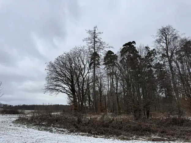 Dražba pole, Vyškov, 89174 m2
