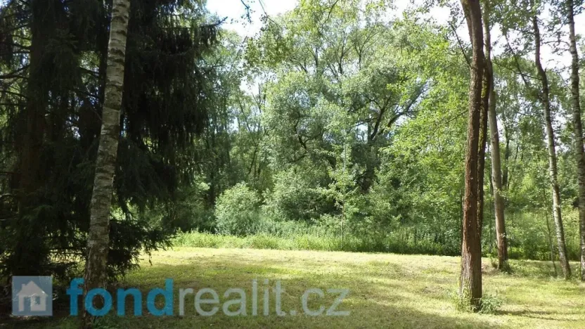 Prodej pozemku, Sobíňov, 3617 m2