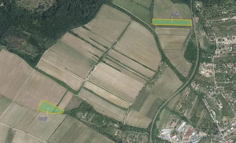 Prodej pole, Nový Šaldorf-Sedlešovice, 20168 m2