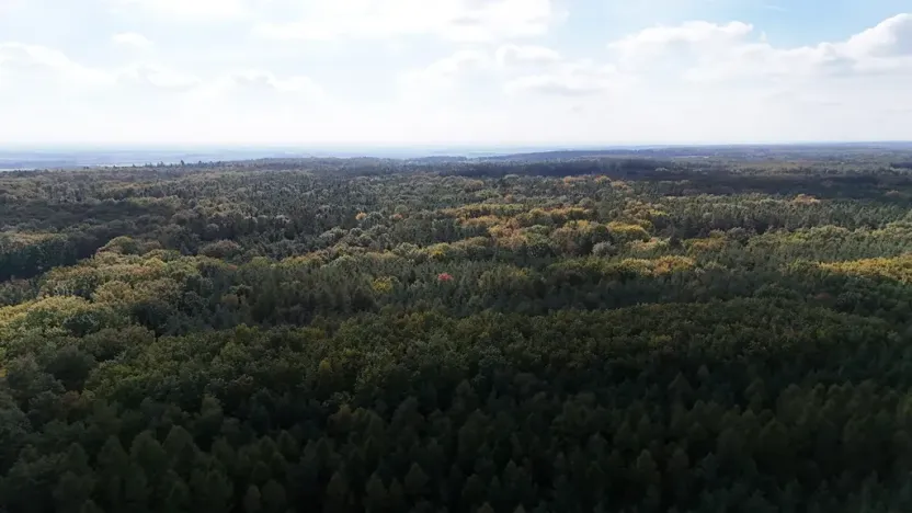 Prodej výrobních prostor, Seletice, 1508 m2