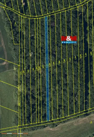 Prodej lesa, Roštění, 947 m2