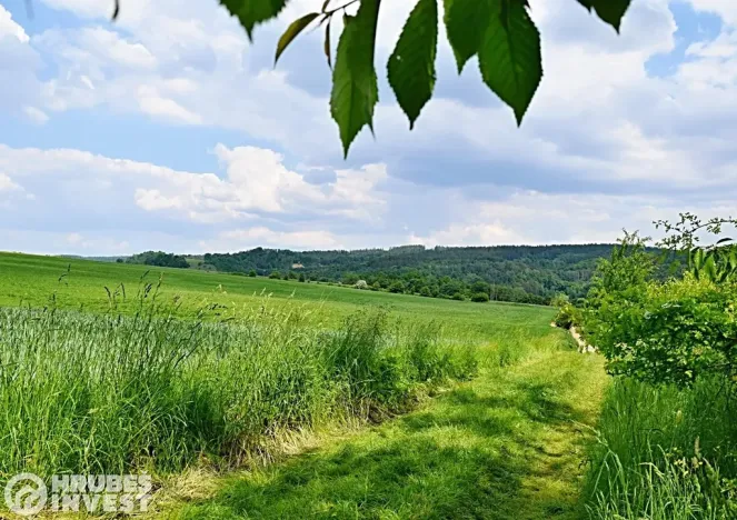 Prodej pozemku pro bydlení, Dlouhá Loučka, 1515 m2
